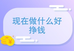 关于未来三年做什么小生意挣钱2019-6-15的信息