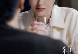 都市情感连续剧推荐(都市情感剧大全好看的)