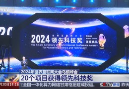 2020年最火爆的互联网项目(2020年最火爆的互联网项目是什么)
