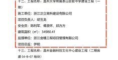 重大工程立项办理程序是什么意思(重大工程项目的立项,应当报经董事会)