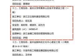 重大工程立项办理程序是什么意思(重大工程项目的立项,应当报经董事会)