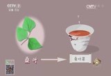 2021年致富经视频播放(致富经视频2020全集视频)