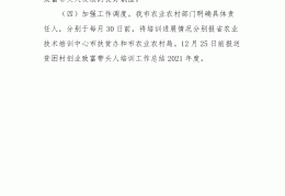 小型创业致富方案(小型创业致富方案设计)