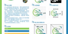 创新创业大赛乡村振兴项目名字的简单介绍