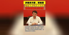 播放陈志刚图片大全视频(播放陈志刚图片大全视频高清)