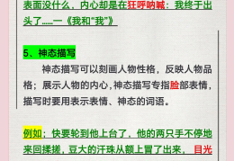 人物描写的方法及其作用有哪些(人物描写的方法及其作用有哪些方面)