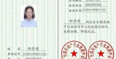 项目经理资质证书怎么填写(项目经理资质证号资料是哪个)