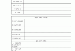 重大项目立项流程怎么写范文图片(重大项目立项流程怎么写范文图片大全)