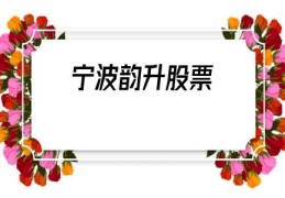 宁波韵升股票(宁波韵升股票历史交易数据)