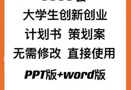 互联网大赛创业计划书模板(互联网大赛创业计划书模板图片)
