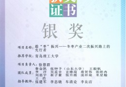 互联网创新创业大赛作品(互联网创新创业大赛作品展示)
