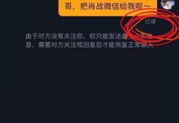 头条关注的人怎么发私信(如何给头条关注的人发私信)