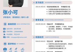 大学生求职大赛活动背景介绍怎么写(大学生求职大赛活动背景介绍怎么写好)