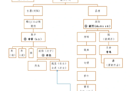 史记人物传记写人的艺术特色(史记人物传记写人的艺术特色是什么)