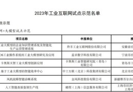 互联网项目发布(互联网项目发布网)