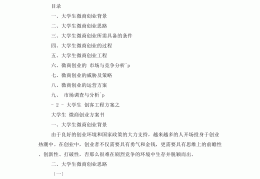 大学生创业项目及实施方案范文(大学生创业项目及实施方案范文大全)