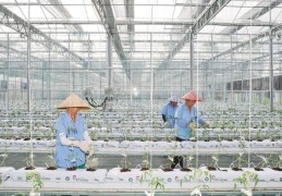 农创客基地(农创客基地报道)