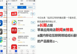 头条简介怎么填介绍(头条的简介在哪里能看到)
