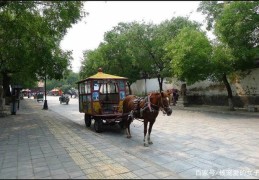 包含2020偏门暴利赚钱点子图的词条
