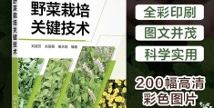野菜前景与市场(野菜市场现状分析)