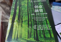 创业做什么项目能估值2000万元以上(创业做什么项目能估值2000万元以上的)