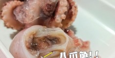 新天润自助火锅(新天润自助火锅店地址)
