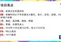 互联网加创新创业大赛获奖作品案例分析(互联网加大学生创新创业大赛参赛项目案例)