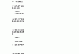 创业项目方案计划书模板(创业项目计划方案实施方案)
