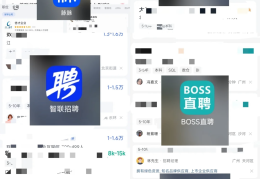 国家招聘app(国家招聘人才网站)