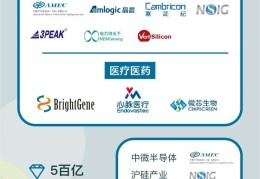 创新创业投资引导基金(创业投资引导基金管理办法)