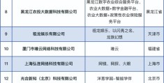 互联网创业公司排行榜最新(2021互联网创业项目排行榜)