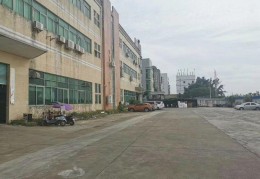 东莞陈志超简介资料(东莞陈志超的个人简历)