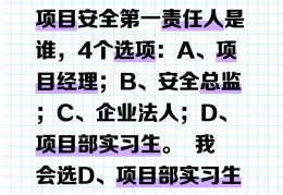 项目经理如何考试呢(项目经理应该考哪些证)