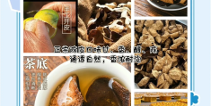 新会陈皮的作用与功能主治(新会陈皮的作用与功能主治是什么)