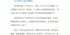 人物传记作文200字同学(人物传记作文300字初二写同学)