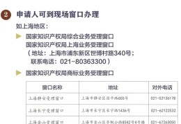 企业头条号注册流程视频教程大全(企业头条号注册流程视频教程大全图片)