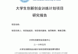 创业项目范文模板怎么写(创业项目范文模板怎么写好)