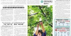 创新头条客户端下载不了视频(创新头条客户端下载不了视频吗)