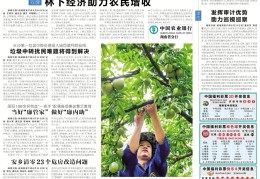 创新头条客户端下载不了视频(创新头条客户端下载不了视频吗)