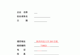 电子创业计划书模板(电子创业计划书模板范文)