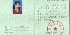 项目经理证属于什么职称类别的简单介绍