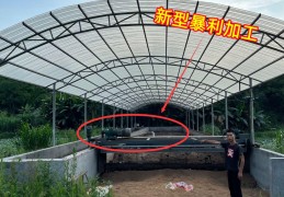 农村暴利项目包括哪些(农村暴利项目包括哪些项目)