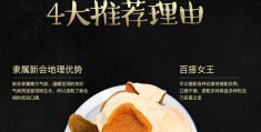 新会陈皮介绍(新会陈皮介绍简短)