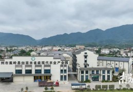 农村致富项目最新(2021农村致富新项目)