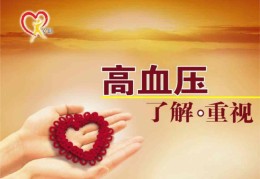 高血压健康指导ppt课件(高血压健康指导ppt课件免费下载)