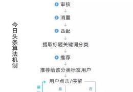 今日头条怎么起家的(今日头条当初怎么起家)