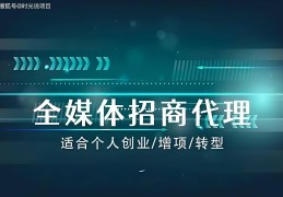 互联网加盟代理项目(互联网加盟代理项目有哪些)