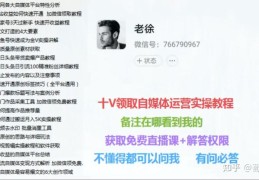 头条是哪年成立的(头条是哪年成立的公司)
