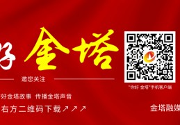 下载致富经全集(致富经全部视频全集)