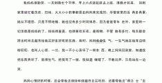 人物传记母亲800字(人物传记母亲800字作文初二)